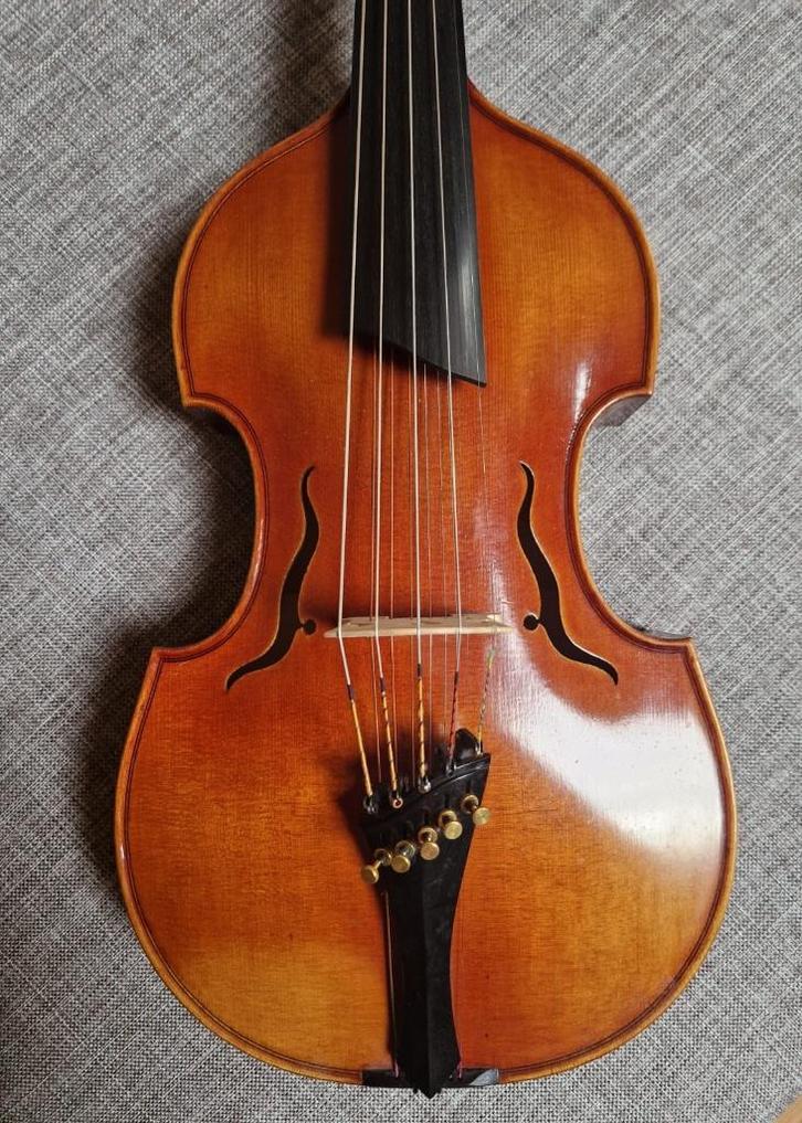 Viola d'amore, Muziek en Instrumenten, Strijkinstrumenten | Overige, Zo goed als nieuw, Ophalen