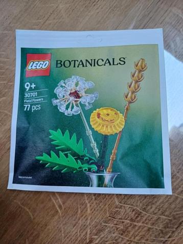 Lego Botanicals Veldbloemen 30701 overal uitverkocht zie obj beschikbaar voor biedingen