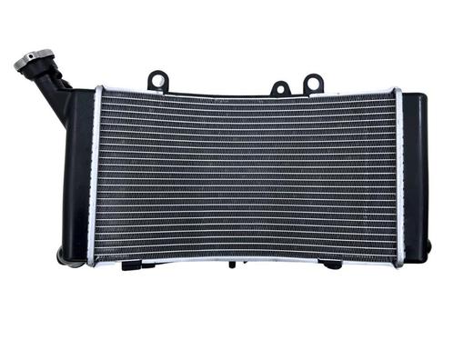 RADIATEUR BMW F 750 GS 2018-2023 (F750GS K80) (17111600196), Motoren, Onderdelen | Overige, Gebruikt