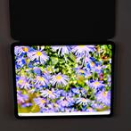 Apple iPad Pro (7th Generation) wifi en 5G5, Computers en Software, Apple iPads, Ophalen, 13 inch of meer, Overige modellen, Zwart