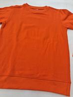 Oranje sweater maat 158/162 Nieuw  Zeeman, Enlèvement