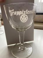 Westmalle, Collections, Marques de bière, Comme neuf, Autres marques, Enlèvement, Verre ou Verres