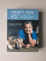 Cesar Millan - Cesar's way kaarten deck: 50 tips, Enlèvement ou Envoi, Comme neuf, Chiens, Cesar Millan