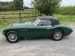 Austin Healy 3000 1966 - condition optimale, Achat, Entreprise, Autres carburants, Autre carrosserie