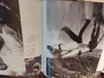 Livre art photos, Ophalen, Sandra lean et bamy