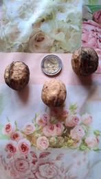 Bio okkernoten nieuwe oogst goed gevuld kraken gemakkelijk, Diversen, Ophalen of Verzenden