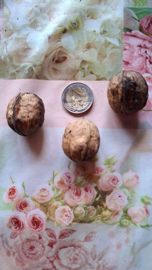 Bio okkernoten nieuwe oogst goed gevuld kraken gemakkelijk, Diversen, Levensmiddelen, Ophalen of Verzenden