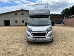 Hippotreck paardencamionette, Ophalen, Gebruikt, 2-paards trailer