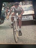 Cycling 1982 poster lucien van impe, Sport en Fitness, Wielrennen, Verzenden, Zo goed als nieuw