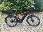 Riese & Muller Delite Dual Battery, Fietsen en Brommers, Elektrische fietsen, Gebruikt, 50 km per accu of meer, 55 tot 59 cm, Ophalen