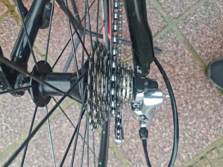 Carbon racefiets tompson 53, Fietsen en Brommers, Fietsen | Racefietsen, Zo goed als nieuw, Carbon, Ophalen