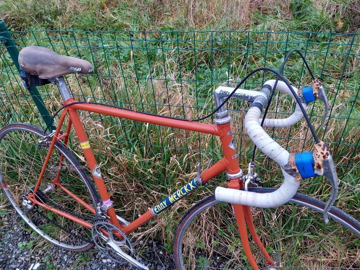 vintage racefiets molteni eddy merckx, Sports & Fitness, Cyclisme, Enlèvement