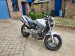 Honda CB600f, Motos, Motos | Honda, Particulier