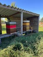 Rucher complet, Dieren en Toebehoren, Ophalen