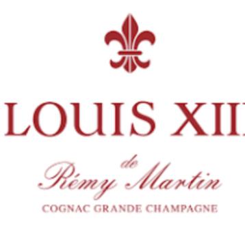 Louis XIII de Rémy Martin cognac boekje beschikbaar voor biedingen