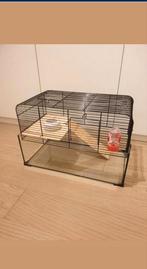 Knaagdieren kooi, Dieren en Toebehoren, Ophalen, Zo goed als nieuw, Kooi, Hamster