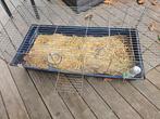 cage petit animaux, Ophalen of Verzenden, Zo goed als nieuw