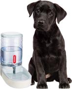 Abreuvoir automatique pour chien/chat - capacité 3,8 litres, Animaux & Accessoires, Nourriture & Bols pour chiens, Automatiquement