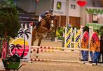 Springpaard te koop, Springpaard