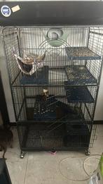 Kooi voor fretten/chinchilla of voor vogels, Ophalen, Gebruikt, Kooi, Fret