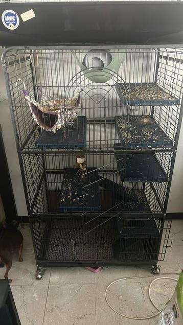 Kooi voor fretten/chinchilla of voor vogels beschikbaar voor biedingen