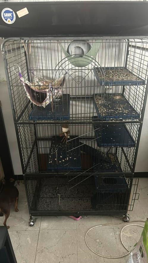 Kooi voor fretten/chinchilla of voor vogels, Dieren en Toebehoren, Knaagdieren en Konijnen | Hokken en Kooien, Gebruikt, Kooi