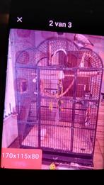 Grote vogelkooi, Dieren en Toebehoren, Ophalen, Vogelkooi