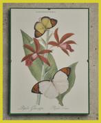 Beau cadre avec des papillons et des fleurs, Maison & Meubles, Envoi