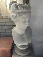 Borstbeeld buste vrouw beton 62 cm hoog, Tuin en Terras, Ophalen, Nieuw, Beton, Mensenbeeld