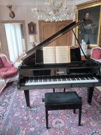 Te koop mooie Duitse Pleyel by SCHIMMEL vleugel., Muziek en Instrumenten, Ophalen of Verzenden, Vleugel