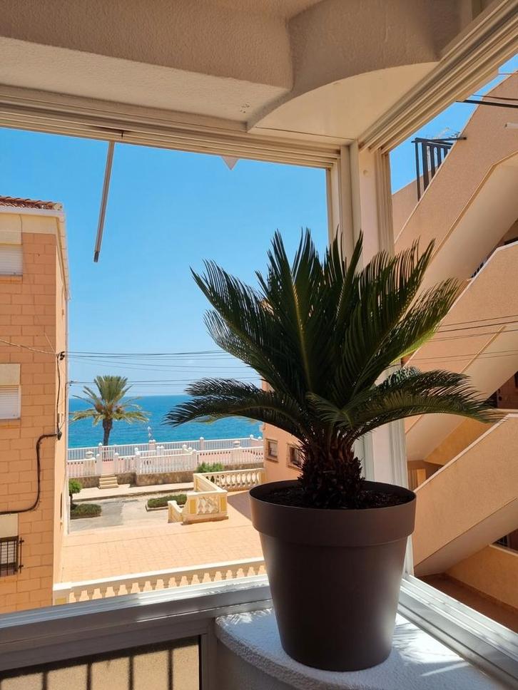 Spanje🇪🇦 Alicante Playa Mil Palmeras 🏝 Appartement, Immo, Buitenland, Spanje, Appartement, Verkoop zonder makelaar