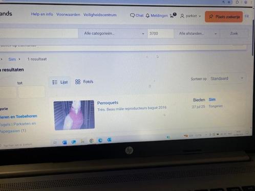 opgepast  met profiel SIM, Dieren en Toebehoren, Vogels | Parkieten en Papegaaien, Papegaai