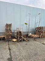 Gratis brandhout, Tuin en Terras, Brandhout, Ophalen