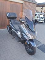 Honda Forza 350, Motoren, Motoren | Honda, Scooter, Particulier, 12 t/m 35 kW, 350 cc