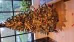 kerstboom, Diversen, Kerst, Ophalen, Gebruikt