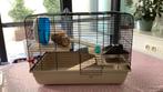 Kooi dwerghamster en toebehoren/eten, Moins de 60 cm, Cage, Utilisé, Hamster