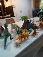 Dinosaurus eiland playmobil, Kinderen en Baby's, Ophalen of Verzenden, Zo goed als nieuw, Complete set