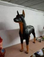 Hond, Ophalen