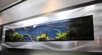 Muuraquarium, Dieren en Toebehoren, Vissen | Aquaria en Toebehoren, Ophalen, Nieuw, Leeg aquarium