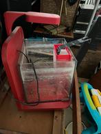Petit aquarium, Animaux & Accessoires, Enlèvement, Utilisé