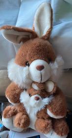 Petit lapin doux avec sa grande maman lapin, Enlèvement ou Envoi, Lapin