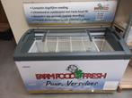 2de hands vriezer Ecold Focus 131, Elektronische apparatuur, Vriezers en Diepvrieskisten, Vrieskist, Gebruikt, Ophalen, 85 tot 120 cm