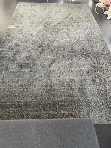 Tapijt/Vloerkleed grijs (410x250), 200 cm ou plus, Gris, 200 cm ou plus, Comme neuf