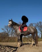 GEZOCHT ruiter, Dieren en Toebehoren, Paarden, Zadelmak