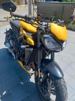 Street Triple RS, Motoren, Particulier, Quickshifter