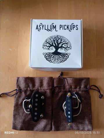 Asyllum pickups Tele Armadillo beschikbaar voor biedingen