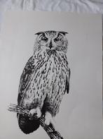 litho uil 209/250 door Jan Lenoir, Ophalen