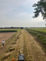 Hooi kleine pakken, Zakelijke goederen, Landbouw | Veevoer, Ophalen