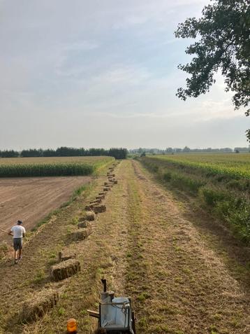 Hooi kleine pakken beschikbaar voor biedingen