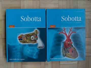 Sobotta atlas anatomie beschikbaar voor biedingen